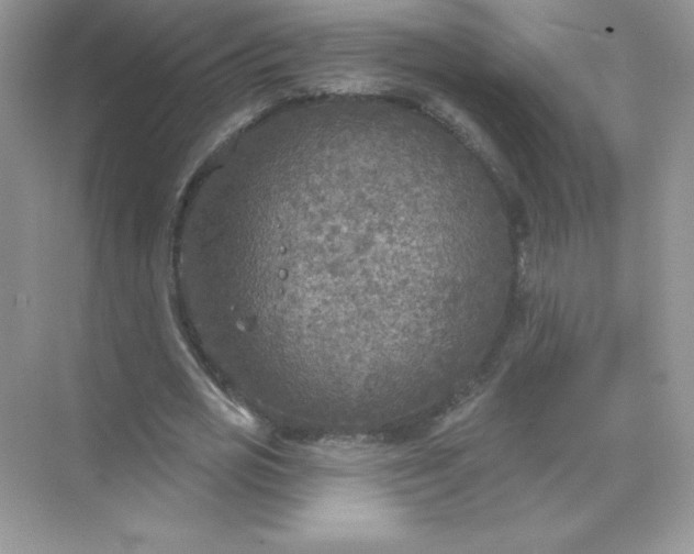 X0000071960725200607212251