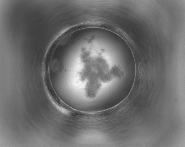 X0000071960726200607212251