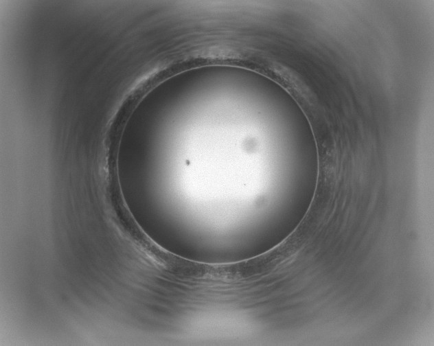 X0000071960727200607212251