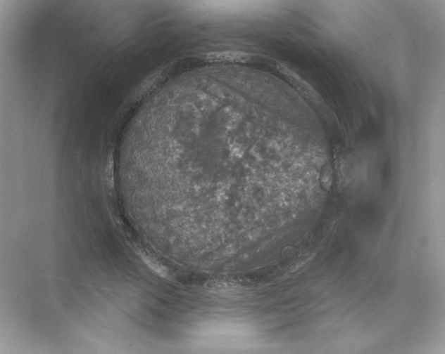 X0000071960729200607212251