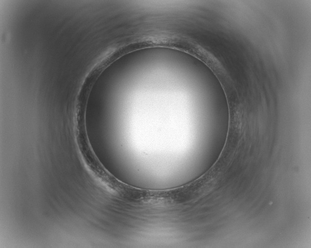 X0000071960730200607212251