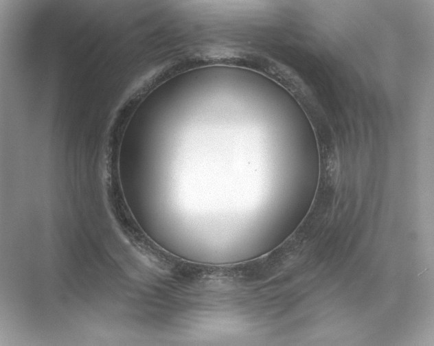 X0000071960732200607212251