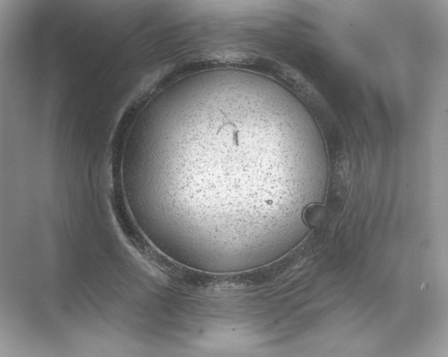 X0000071960734200607212252