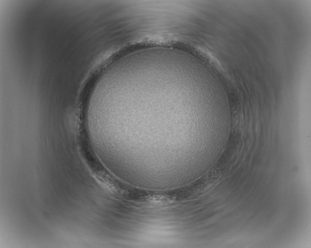 X0000071960736200607212252