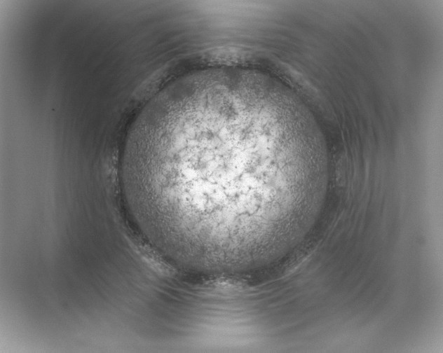 X0000071960737200607212252