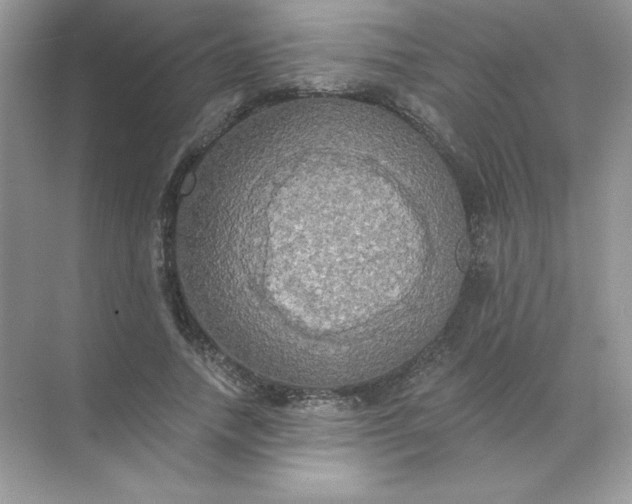 X0000071960738200607212252