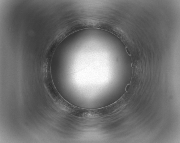 X0000071960739200607212252