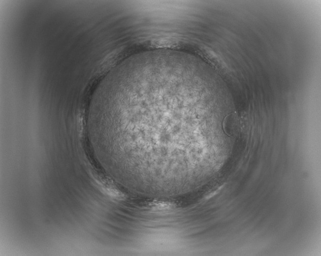 X0000071960741200607212252