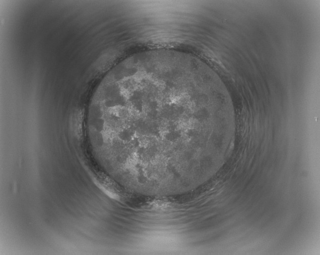 X0000071960742200607212252