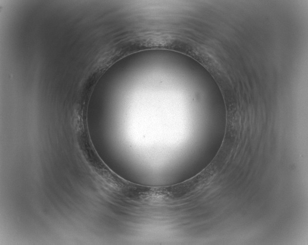 X0000071960743200607212252