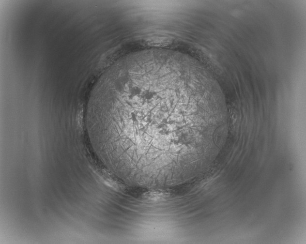 X0000071960745200607212252