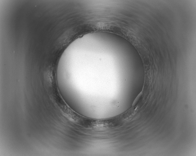 X0000071960746200607212252