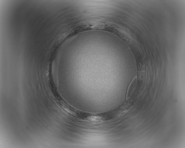 X0000071960748200607212252