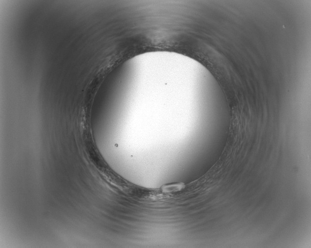 X0000071960752200607212252