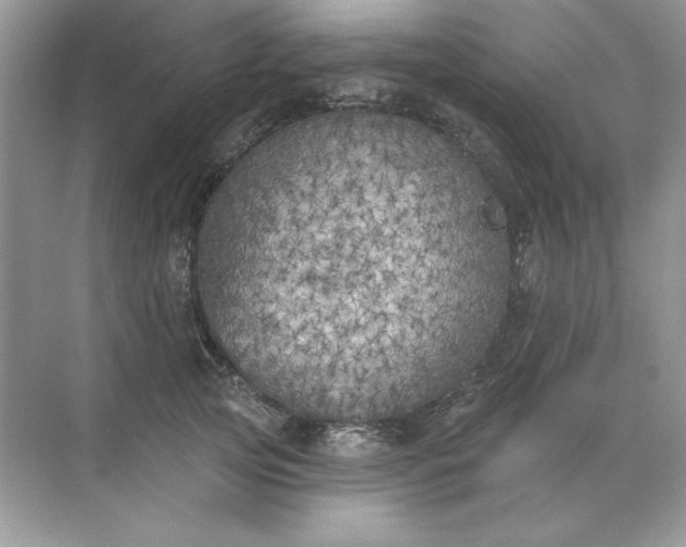 X0000071960753200607212252