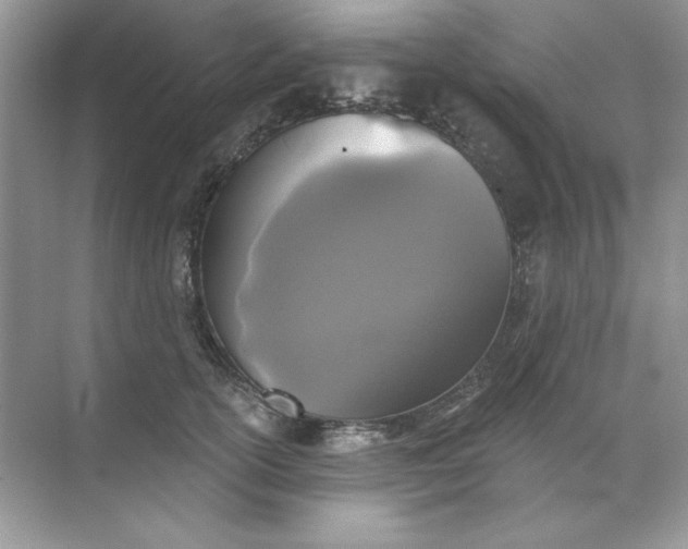 X0000071960754200607212252