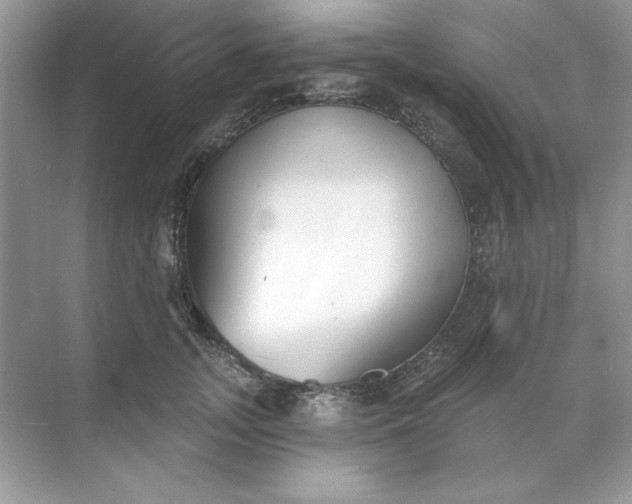 X0000071960755200607212252