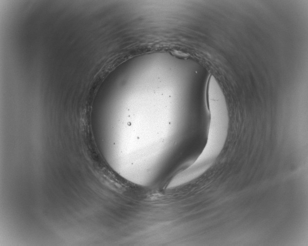 X0000071960756200607212252