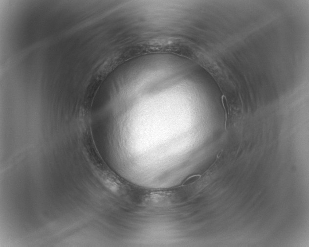 X0000071960758200607212252