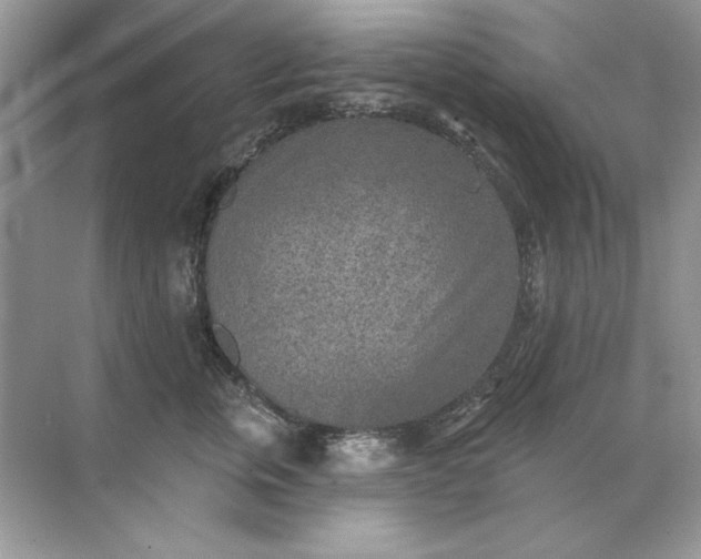 X0000071960759200607212252