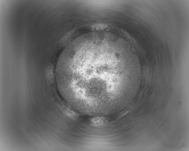 X0000071960761200607212252