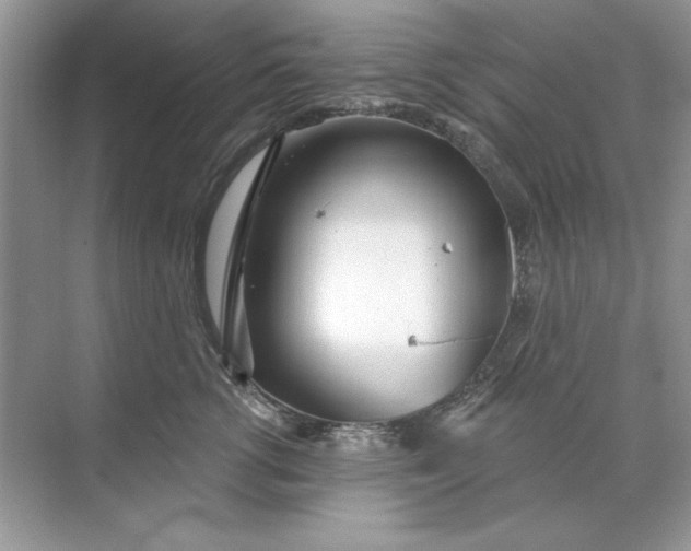 X0000071960762200607212252