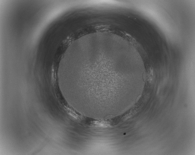 X0000071960763200607212252