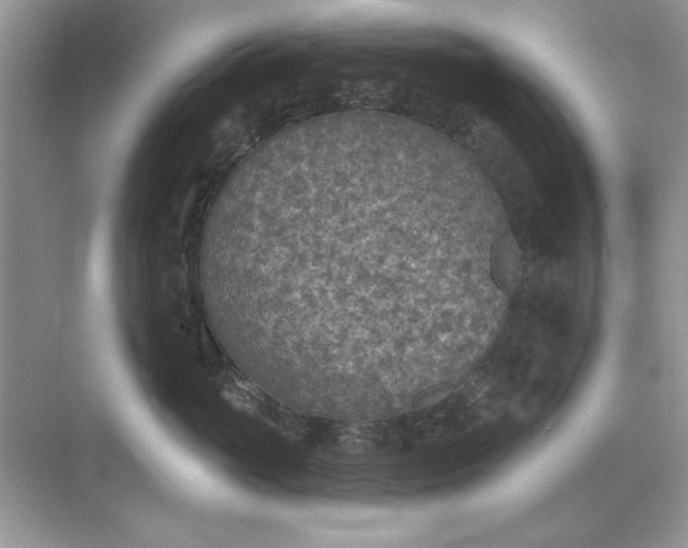 X0000071960765200607212252