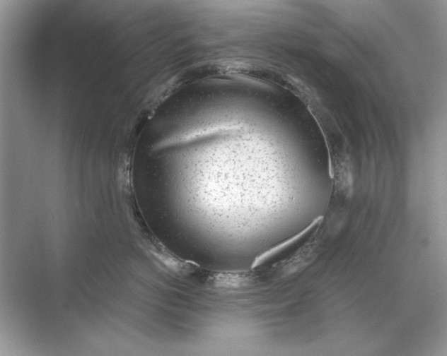 X0000071960766200607212252