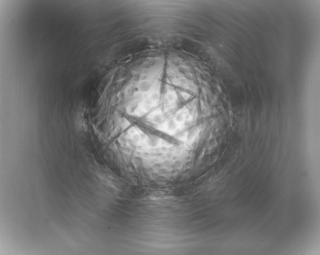 X0000071960770200607212251