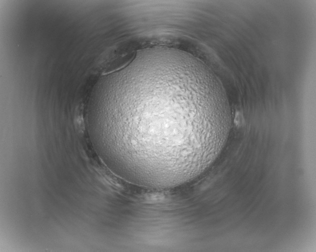 X0000071960771200607212251