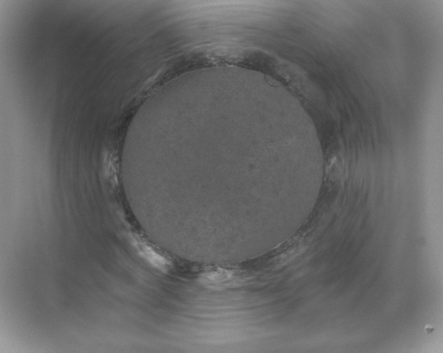 X0000071960772200607212251