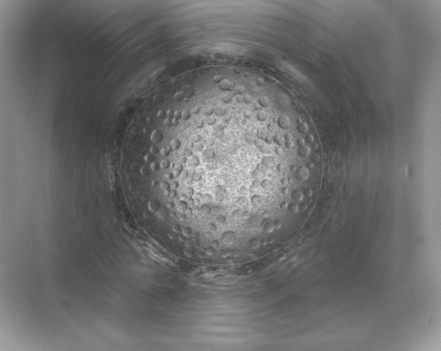 X0000071960774200607212251