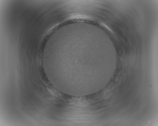 X0000071960775200607212251