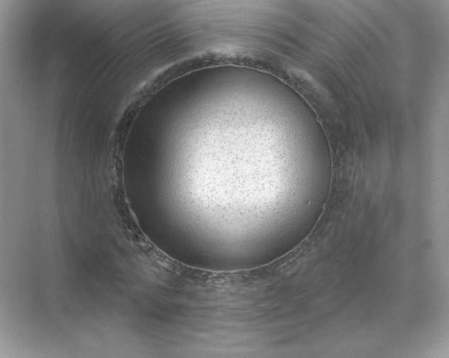 X0000071960776200607212251