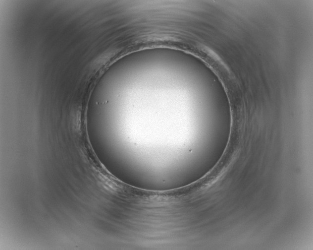 X0000071960777200607212251