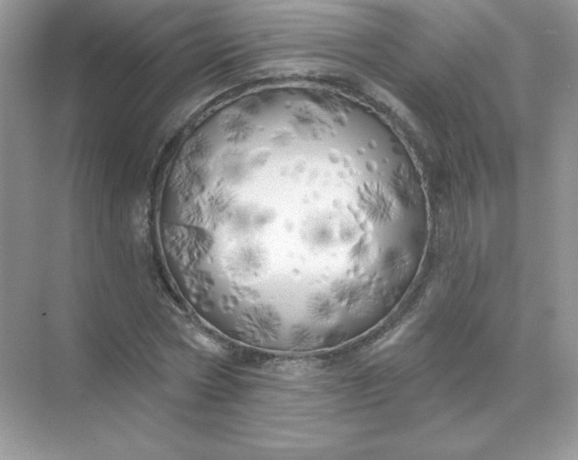 X0000071960778200607212251