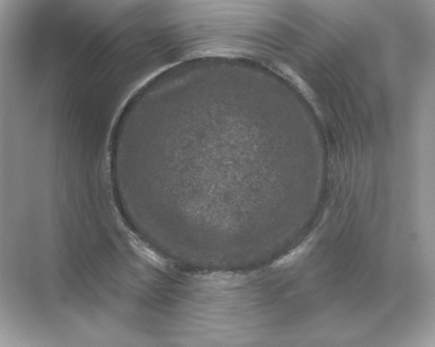 X0000071960779200607212251