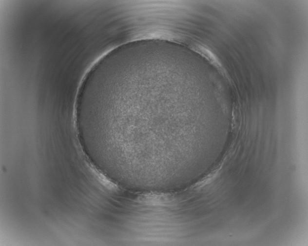 X0000071960780200607212251