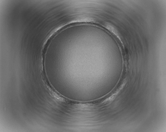 X0000071960781200607212251