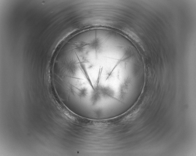 X0000071960782200607212251