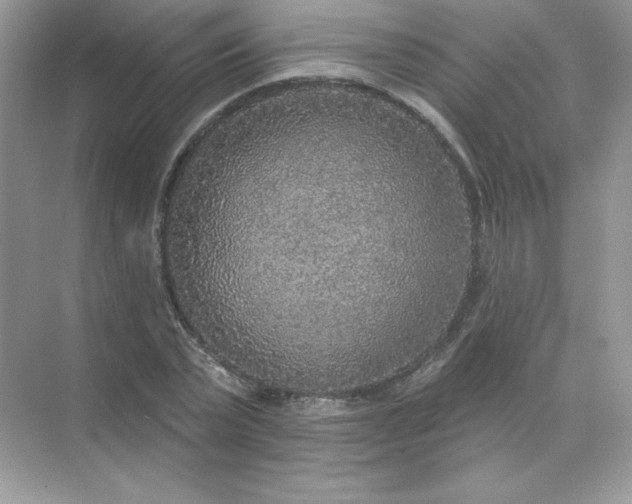 X0000071960783200607212251