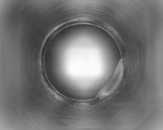 X0000071960784200607212251