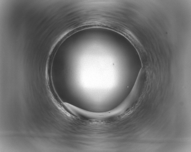 X0000071960788200607212251