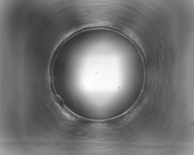 X0000071960789200607212251