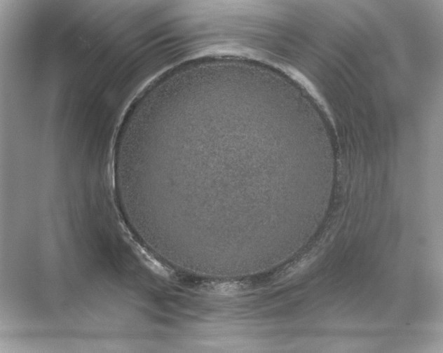 X0000071960791200607212251