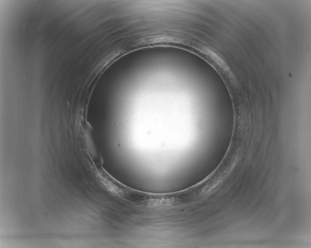 X0000071960793200607212251