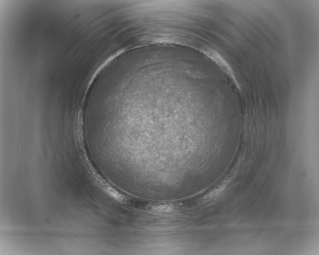 X0000071960798200607212251