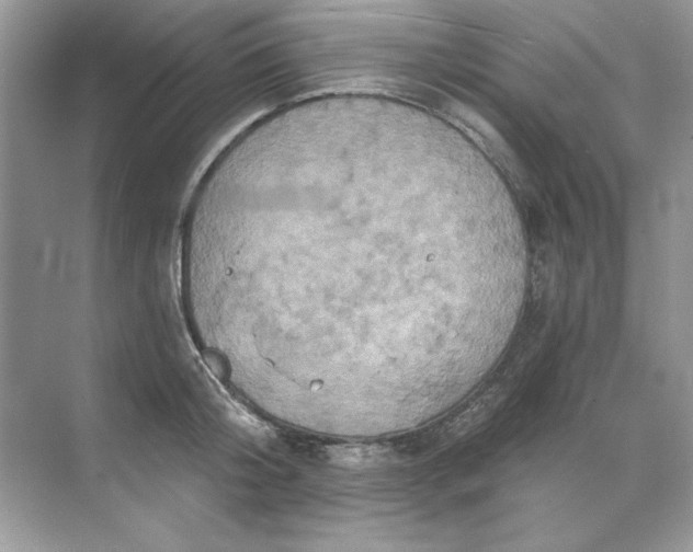 X0000071960804200607212251