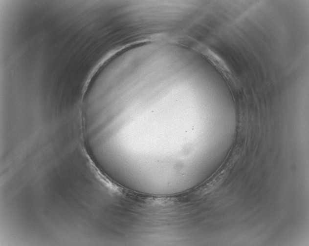 X0000071960808200607212251